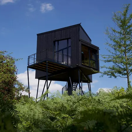 Treeangle - K1 Baumhaus Holiday home Odenthal